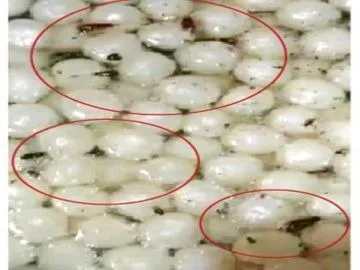 रायपुर में मिठाई दुकानों पर खाद्य विभाग का बड़ा एक्शन, 160 किलो खाद्य सामग्री नष्ट; 4 प्रतिष्ठानों के लाइसेंस निलंबित ...