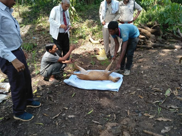 WhatsApp Image 2019-07-15 at 4.10.57 PM