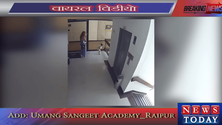 vlcsnap-2019-07-02-15h44m38s652