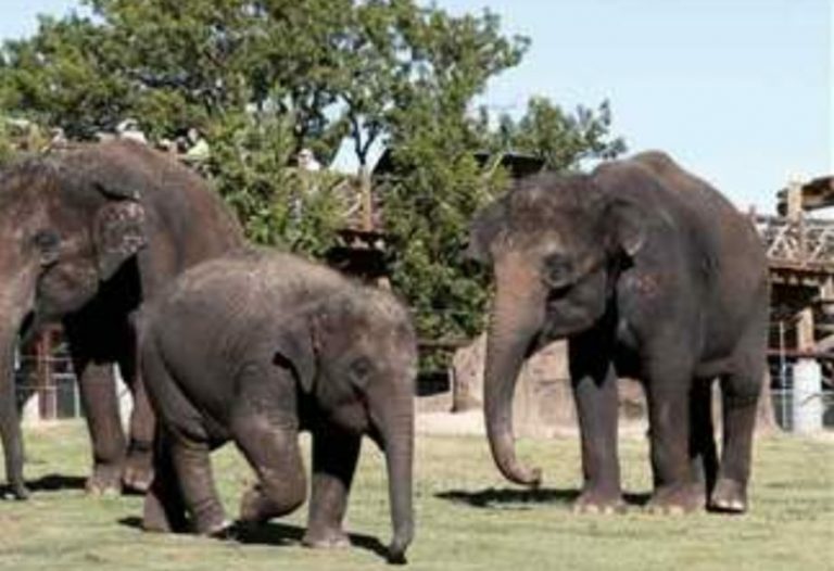 WhatsApp Image 2019-08-21 at 6.45.45 PM