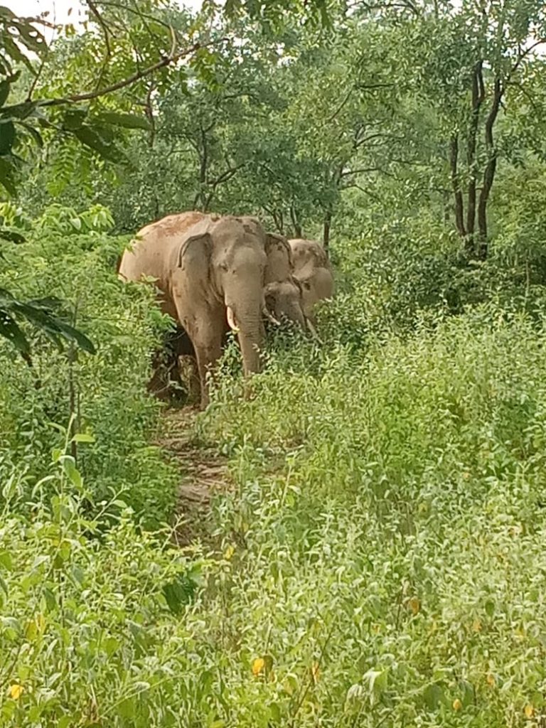 WhatsApp Image 2019-08-31 at 6.06.21 PM