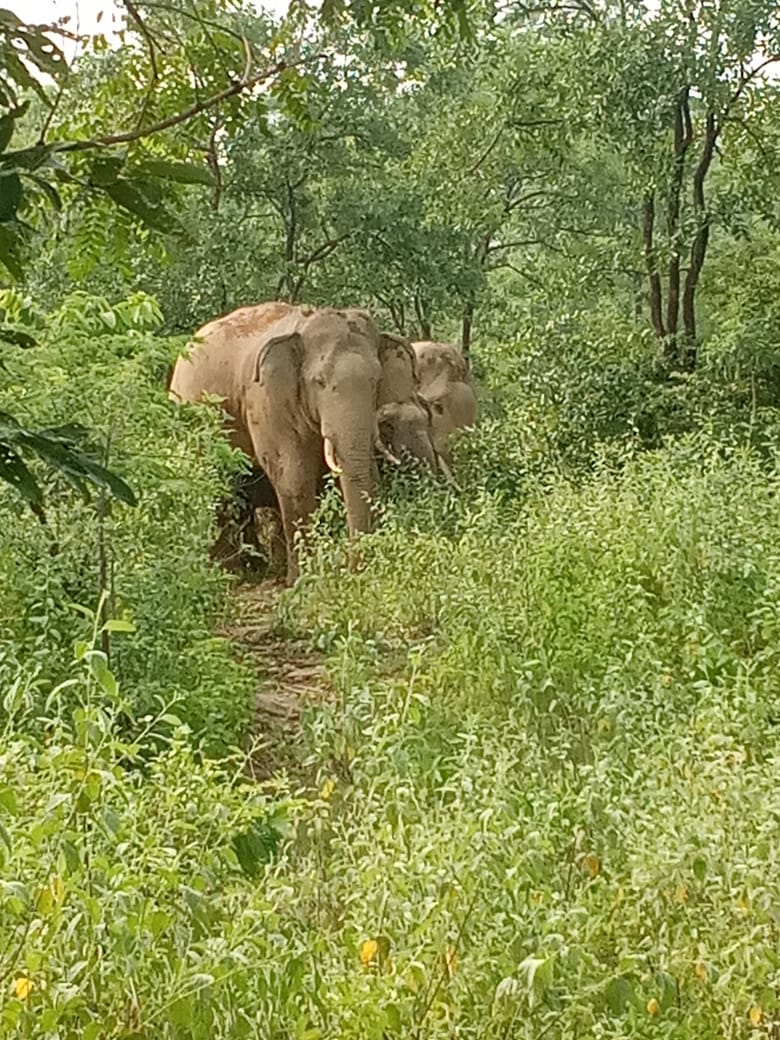 WhatsApp Image 2019-08-31 at 6.06.21 PM