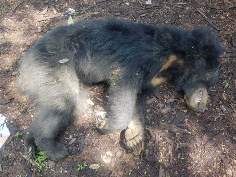 WhatsApp Image 2019-09-17 at 2.30.06 PM