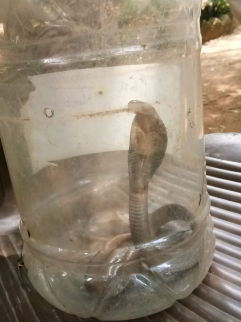 WhatsApp Image 2019-09-24 at 2.39.10 PM