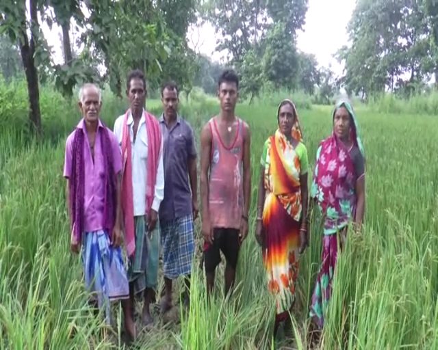 WhatsApp Video 2019-10-17 at 6.47.09 PM.mp4.00_00_02_18.Still001