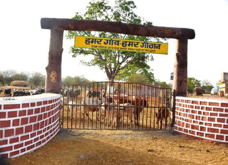 gauthaan dias