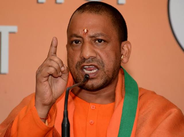yogi