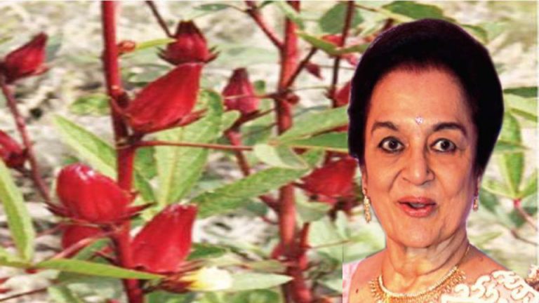 Asha Parekh