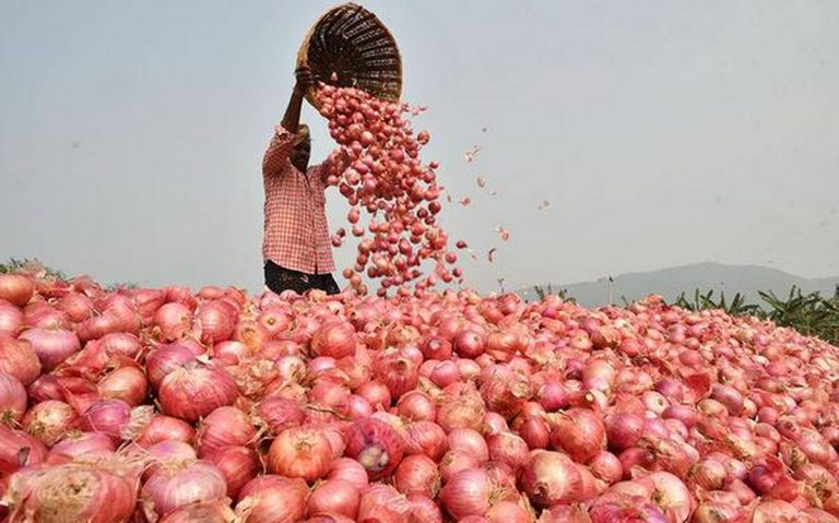 ONION 0014