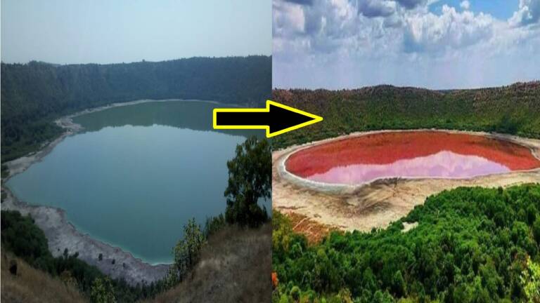 pani