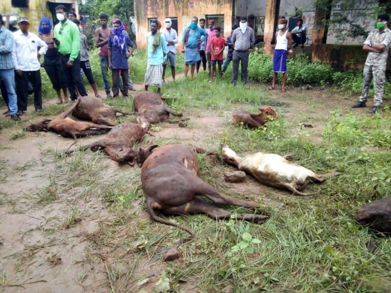 IMG-20200725-WA0034-1024x768