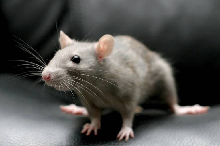 df46c726-9aed-424a-aec7-512845056f0e