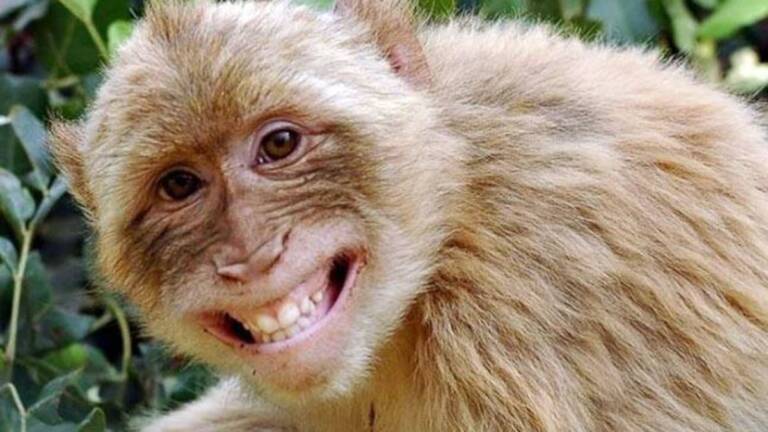 mon_1514110645_749x421