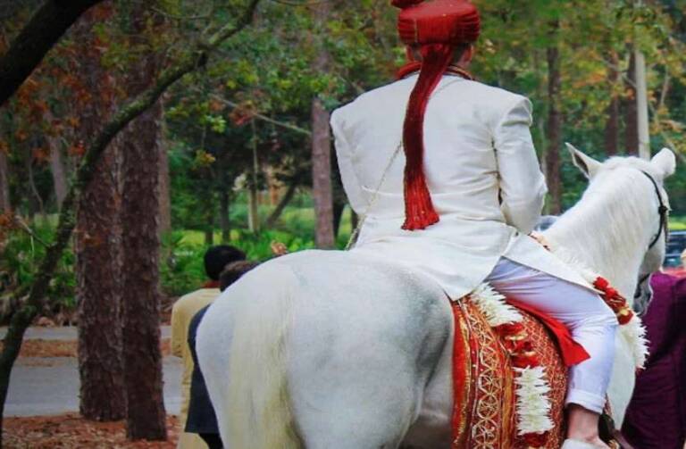 shadi-4