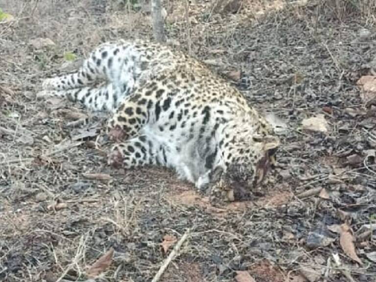 rajnandgaon_1614162113