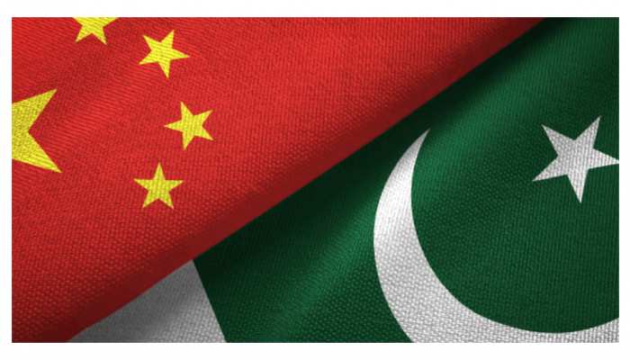 1163309-collage-maker-31-may-2022-09.31-am