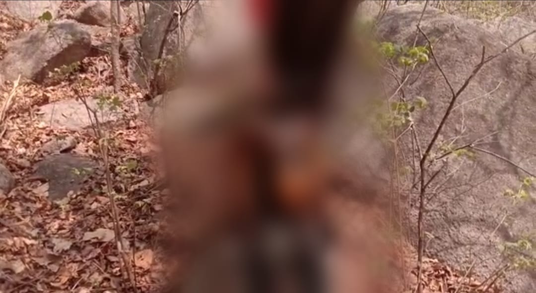 WhatsApp-Image-2022-05-20-at-2.45.22-AM