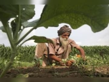 farmer-1-12-16536347093x2