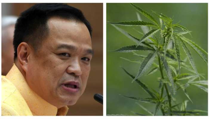 1176330-collage-maker-10-jun-2022-01.38-pm