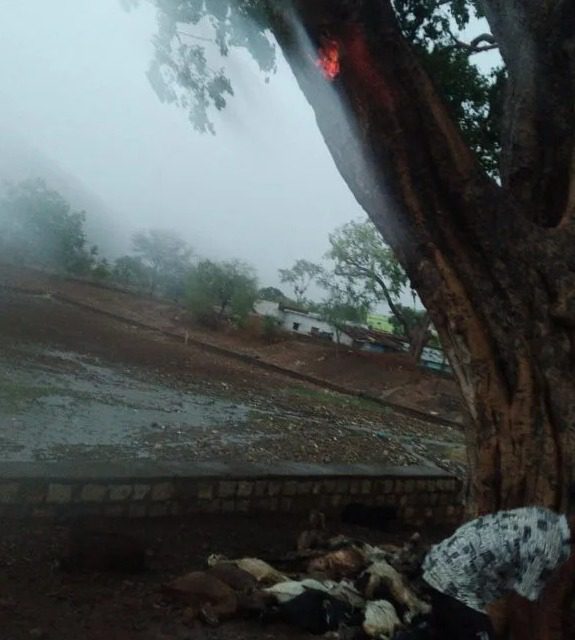 WhatsApp Image 2022-06-16 at 12.50.58 PM