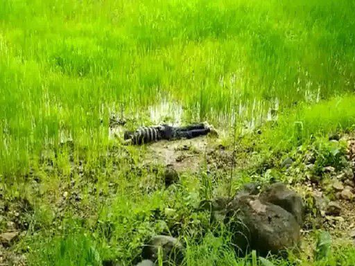 1881000-untitled-56-copy