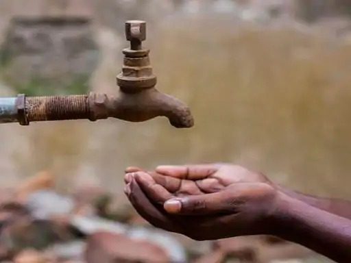 WhatsApp Image 2022-08-01 at 9.25.06 AM