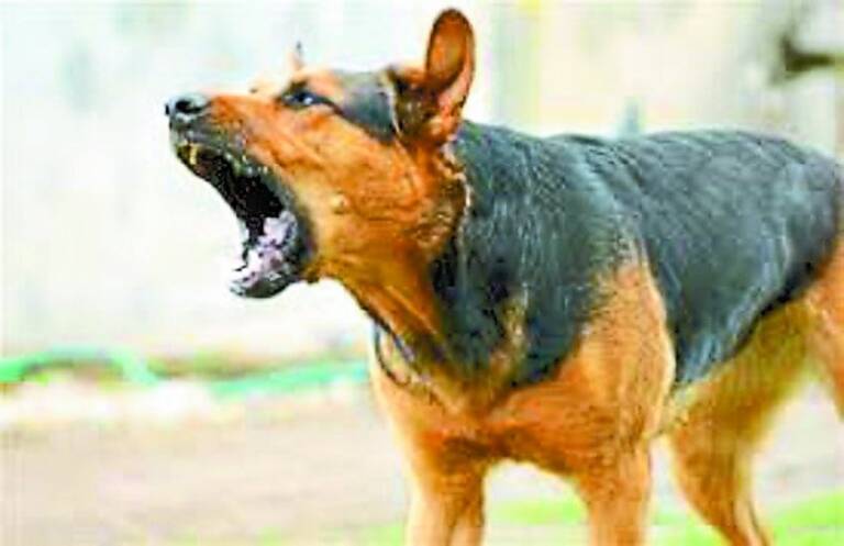 WhatsApp Image 2022-12-22 at 1.05.26 PM