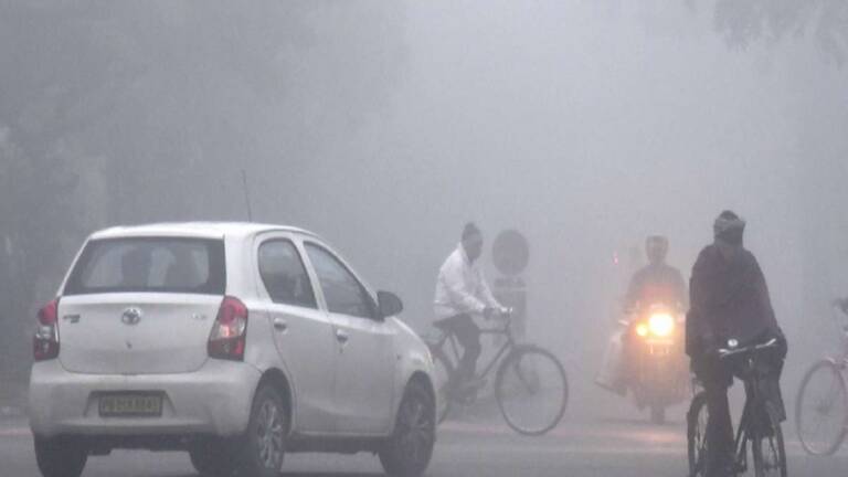 WhatsApp Image 2022-12-23 at 11.46.59 AM