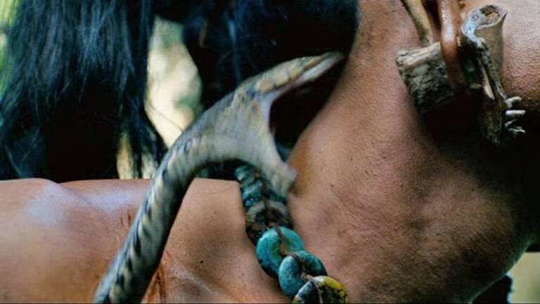 1559574-snake-on-neck