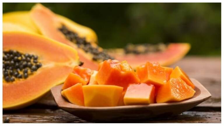 1566198-papaya-chat