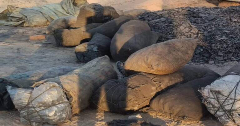 WhatsApp-Image-2023-02-09-at-10.28.03-950x500