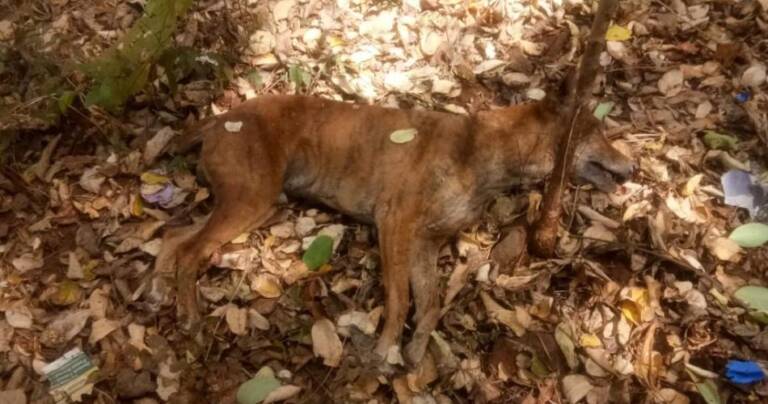 WhatsApp-Image-2023-02-16-at-08.15.37-950x500