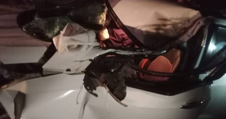 WhatsApp-Image-2023-02-22-at-07.35.23-1-950x500