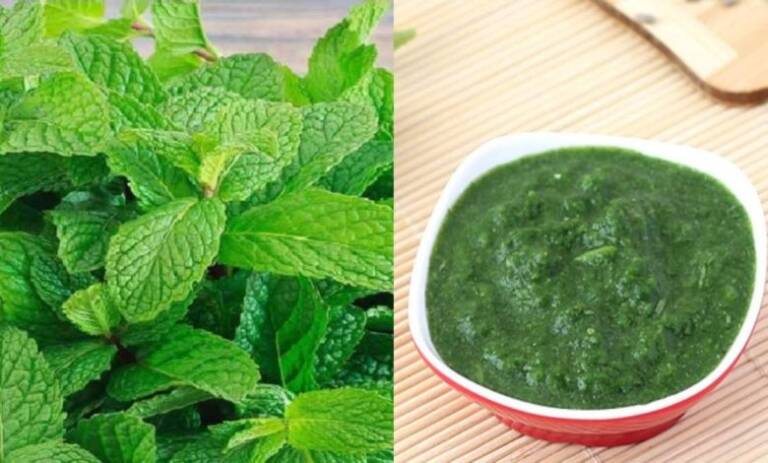 pudina-chutney-1-780x470