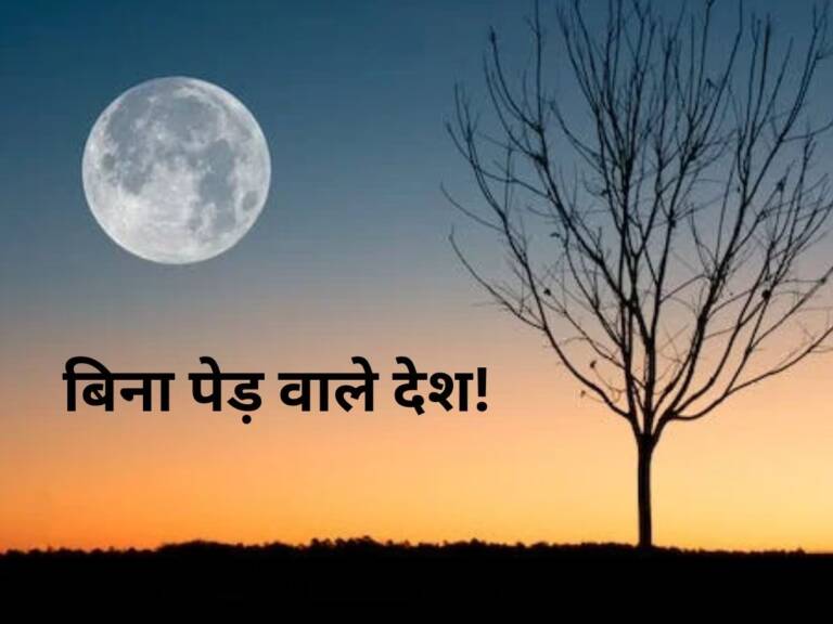 1831778-tree-free-country-33