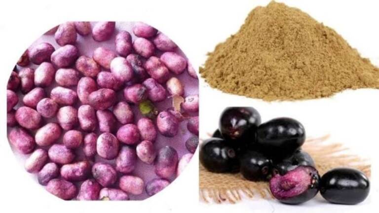 Benefits-of-Jamun-Seeds-जामुन-1-1024x576