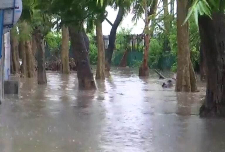 Cyclone-Remal-2-1-1024x692-1