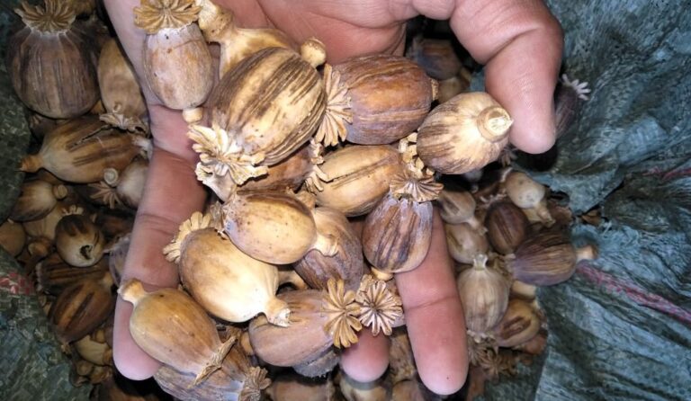 Doda-Post-1-e1684501519723