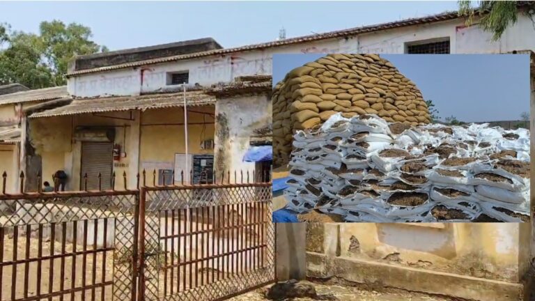 WhatsApp-Image-2024-06-06-at-1.17.07-PM-1