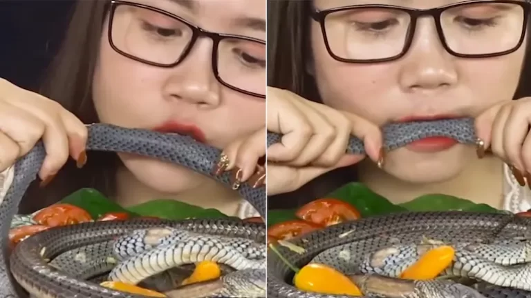 61iveo2o_girl-eating-snake-like-salad-_625x300_11_July_24