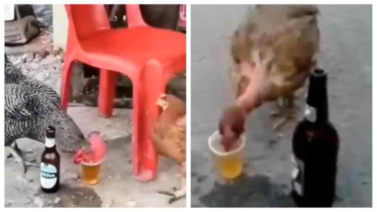 BeFunky-collage-29-1