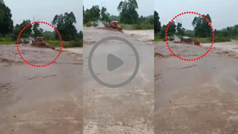 BeFunky-design-36-1-1