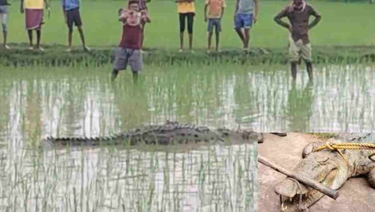 image-2024-08-10T130208.581