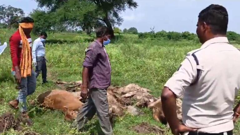 image-2024-08-13T135515.786-1