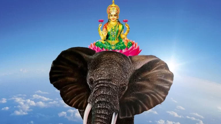 Pitru Paksha Ashtami