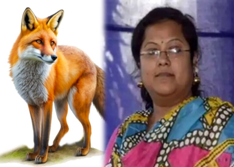 WhatsApp Image 2024-09-26 at 11.11.47_dfb5cbbd