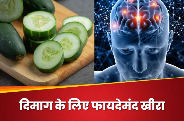 cucumber-brain