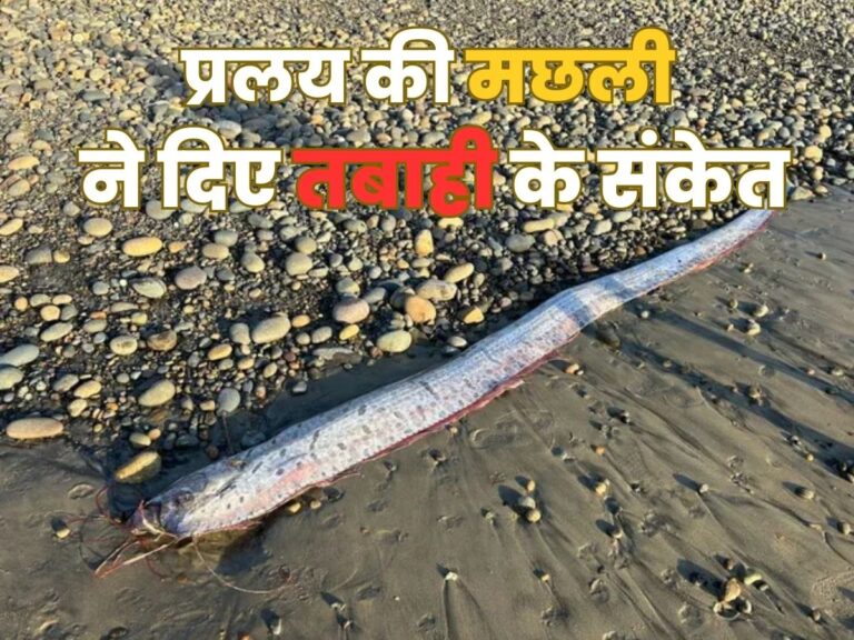 3426814-copy-of-copy-of-zee-web-image-2024-11-20t102151.381 (1)