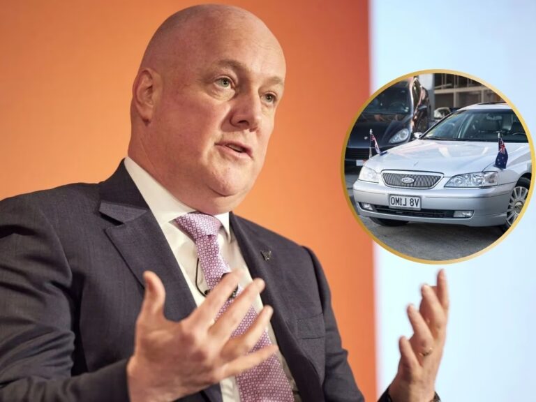 3452482-copy-of-copy-of-zee-web-image-2024-11-28t094311.790