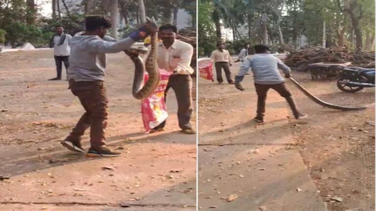 BeFunky-design-12-1-4-1024x576